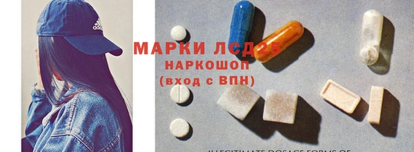 spice Новодвинск