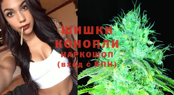 spice Новодвинск