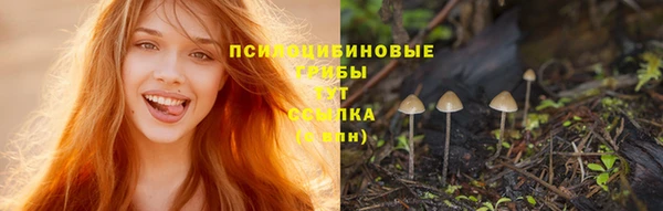 кристаллы Новозыбков