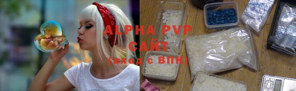 spice Новодвинск