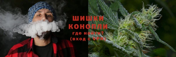 spice Новодвинск