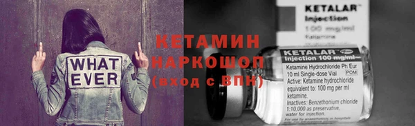 spice Новодвинск