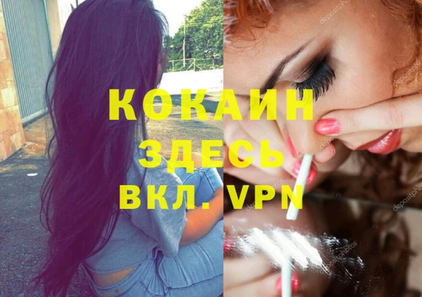 spice Новодвинск