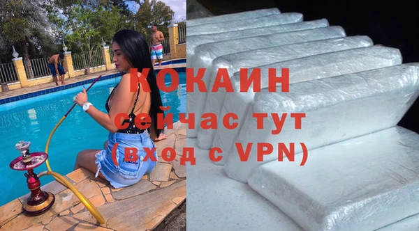 spice Новодвинск
