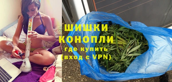 spice Новодвинск