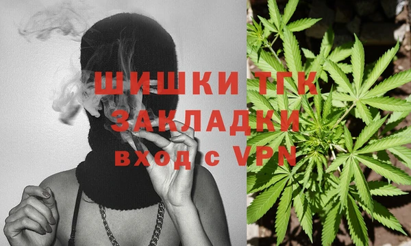 spice Новодвинск