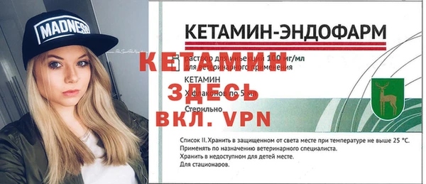 spice Новодвинск