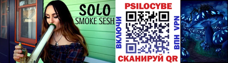 Псилоцибиновые грибы Psilocybine cubensis Торопец